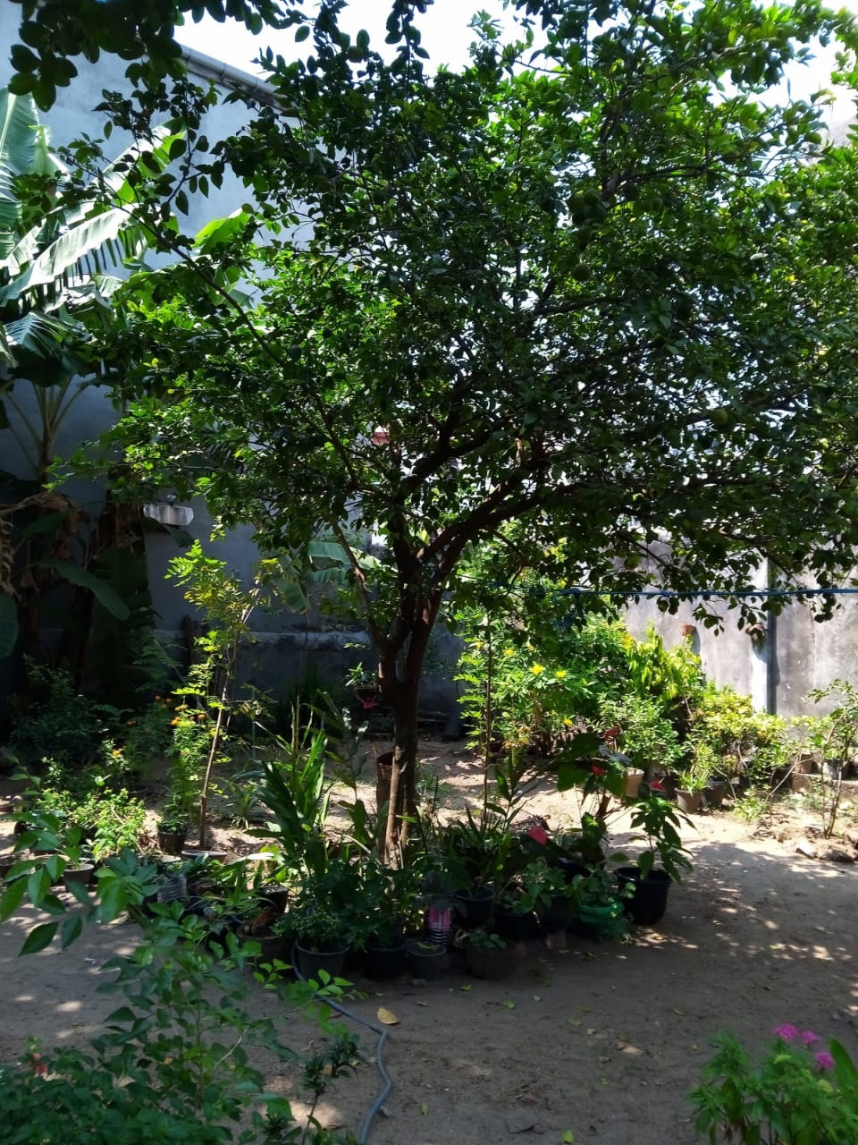 Land with old house for Sale