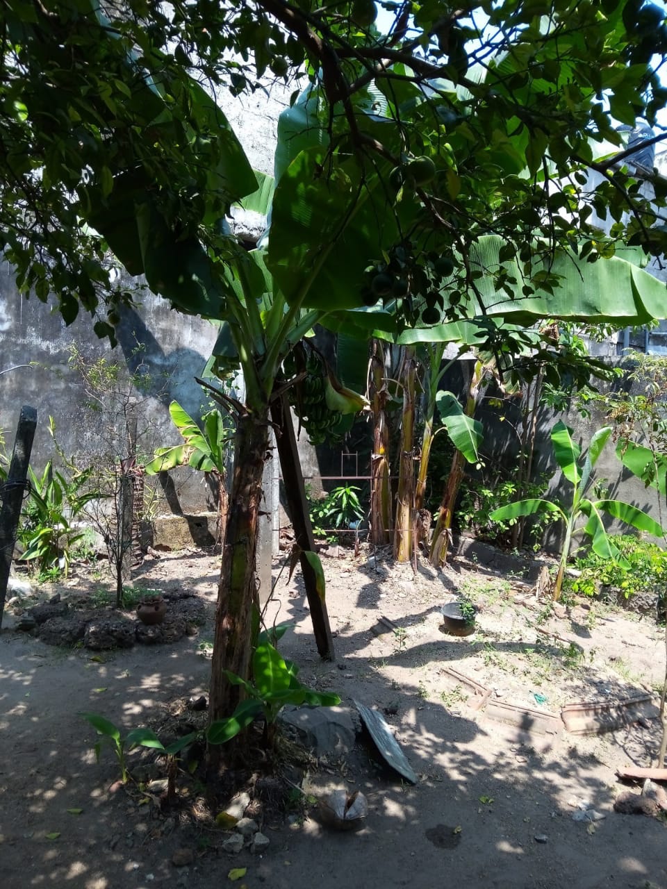 Land with old house for Sale