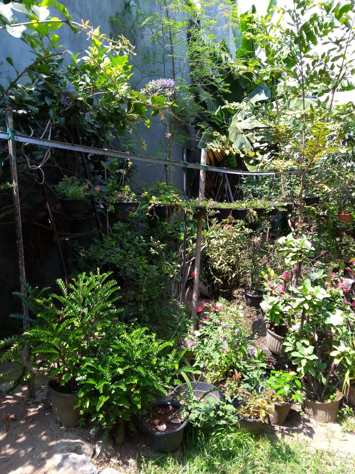 Land with old house for Sale