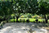 Hotel Resort for Sale