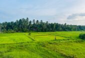 Hotel Resort for Sale