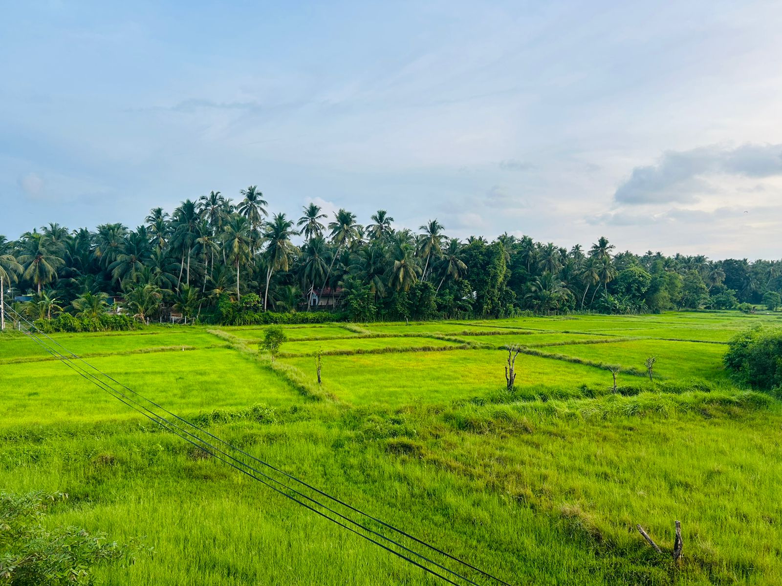 Hotel Resort for Sale