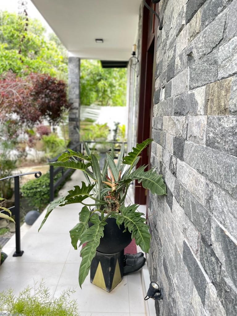 Luxury 3 Storied House for Sale in Liberty Court, Ma-Eliya, Ja-Ela.