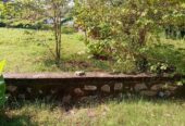 Land for Sale at Royal Garden Residences, Kularathna Mawatha, Akkarapanaha, Negombo.