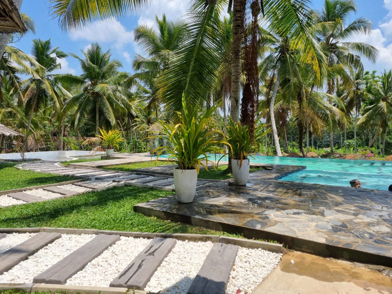 Agro Farm Resort for Sale in Minuwangoda, Sri Lanka.