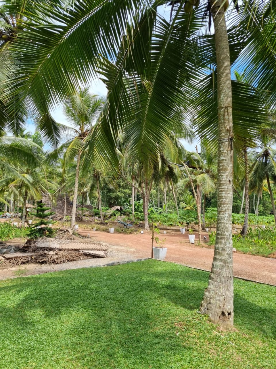 Agro Farm Resort for Sale in Minuwangoda, Sri Lanka.
