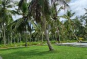 Agro Farm Resort for Sale in Minuwangoda, Sri Lanka.