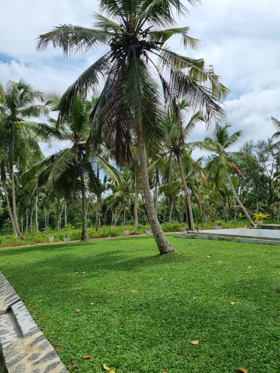 Agro Farm Resort for Sale in Minuwangoda, Sri Lanka.