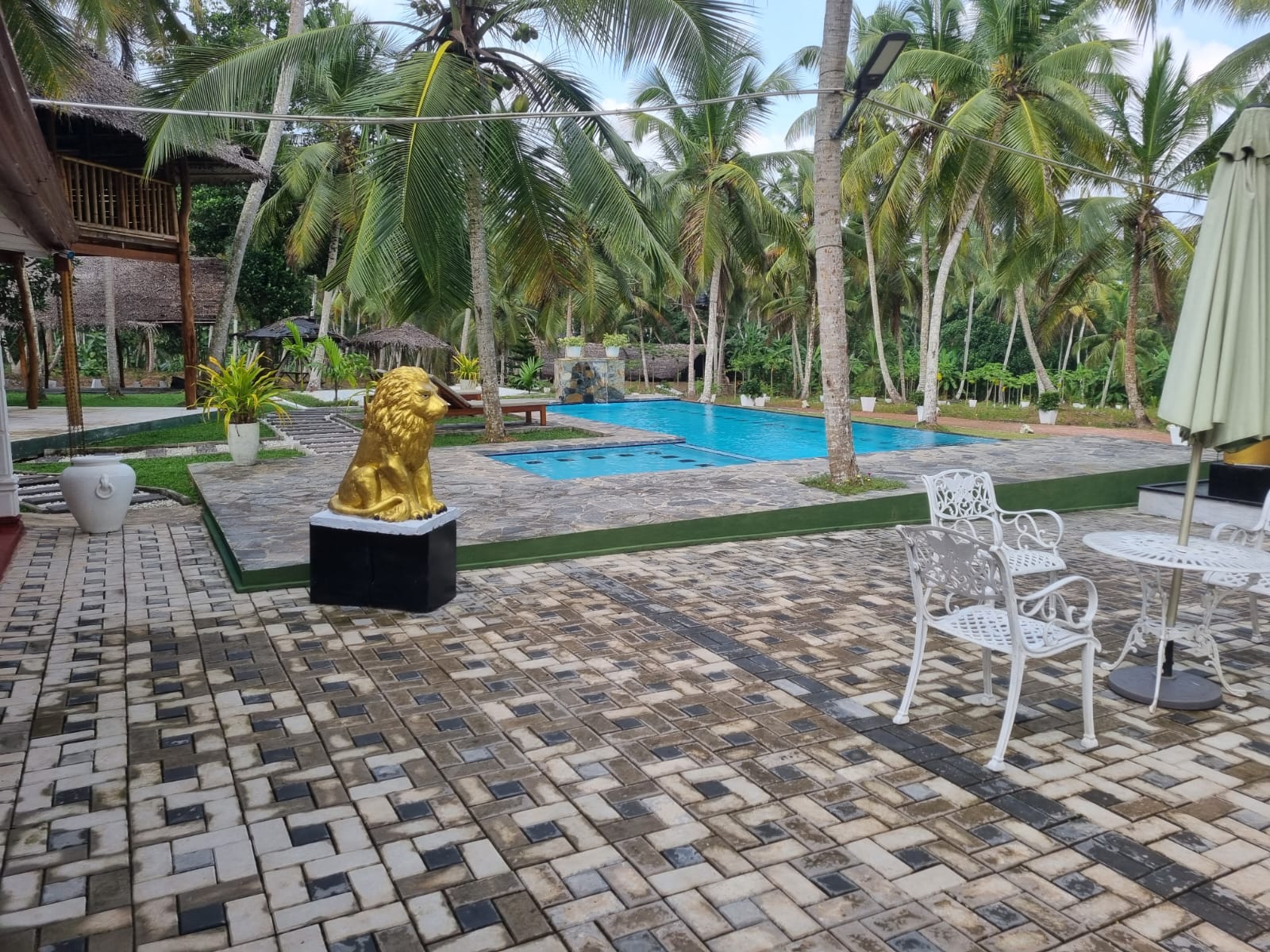Agro Farm Resort for Sale in Minuwangoda, Sri Lanka.