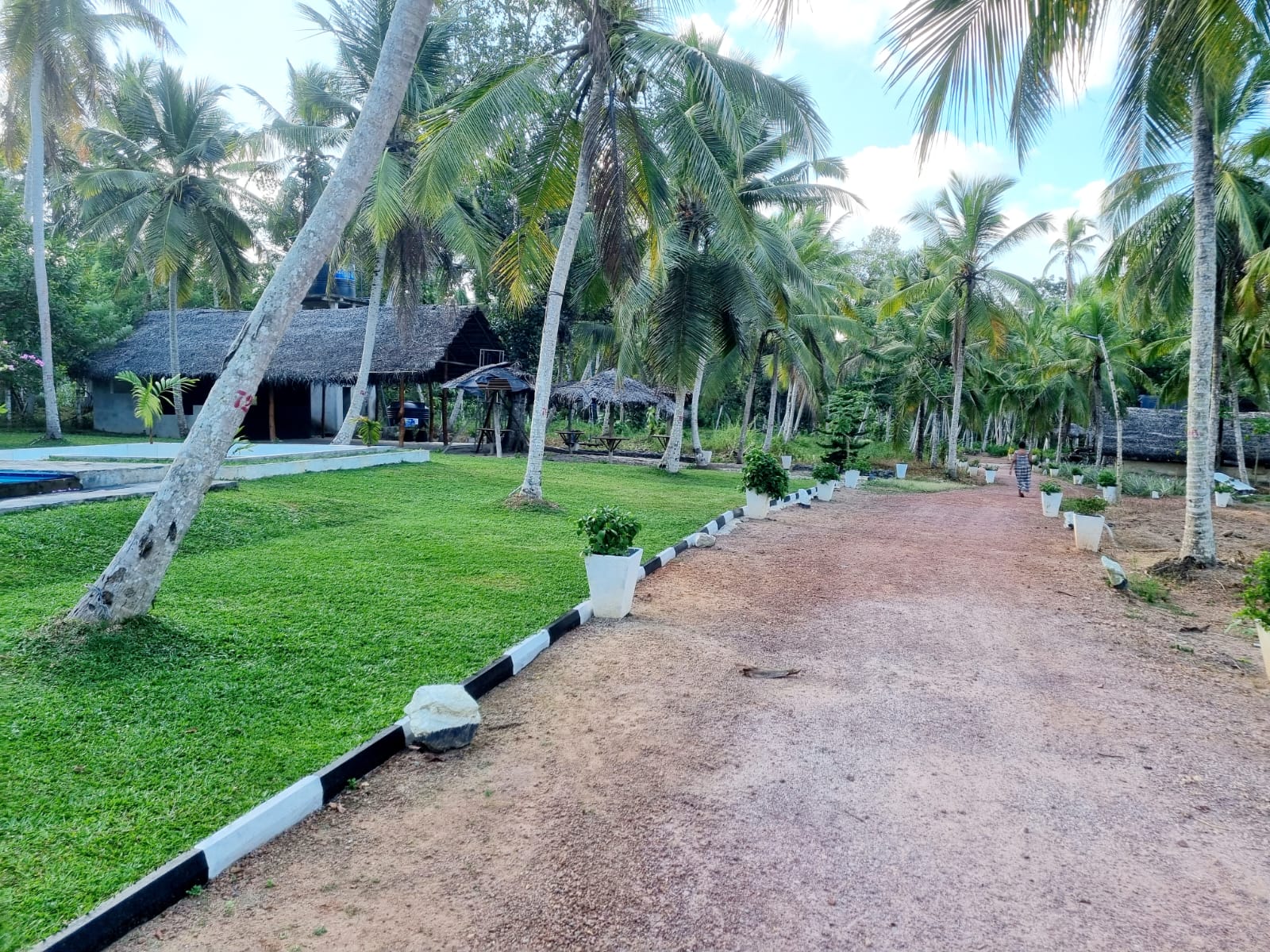 Agro Farm Resort for Sale in Minuwangoda, Sri Lanka.
