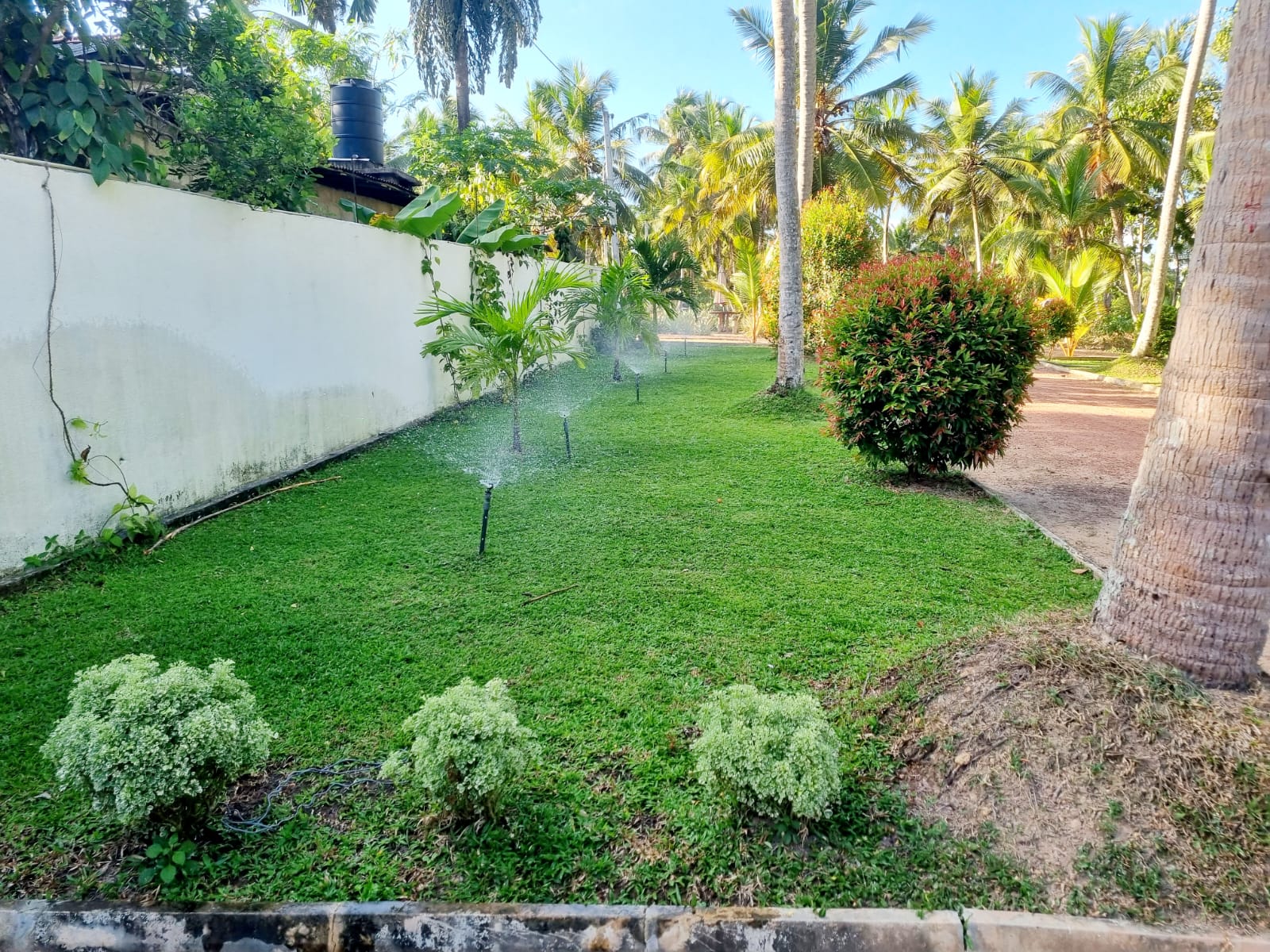 Agro Farm Resort for Sale in Minuwangoda, Sri Lanka.