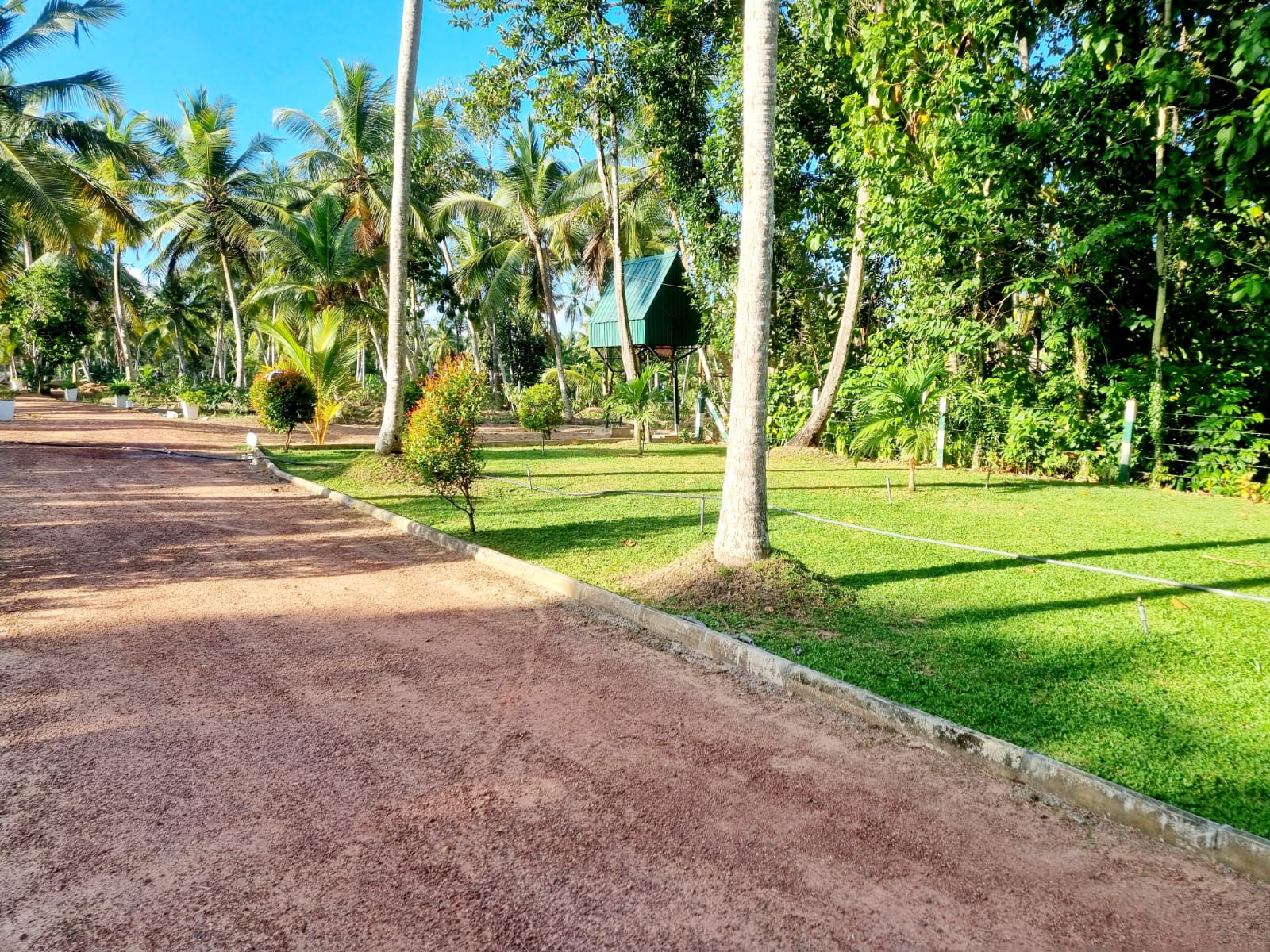 Agro Farm Resort for Sale in Minuwangoda, Sri Lanka.