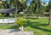 Agro Farm Resort for Sale in Minuwangoda, Sri Lanka.