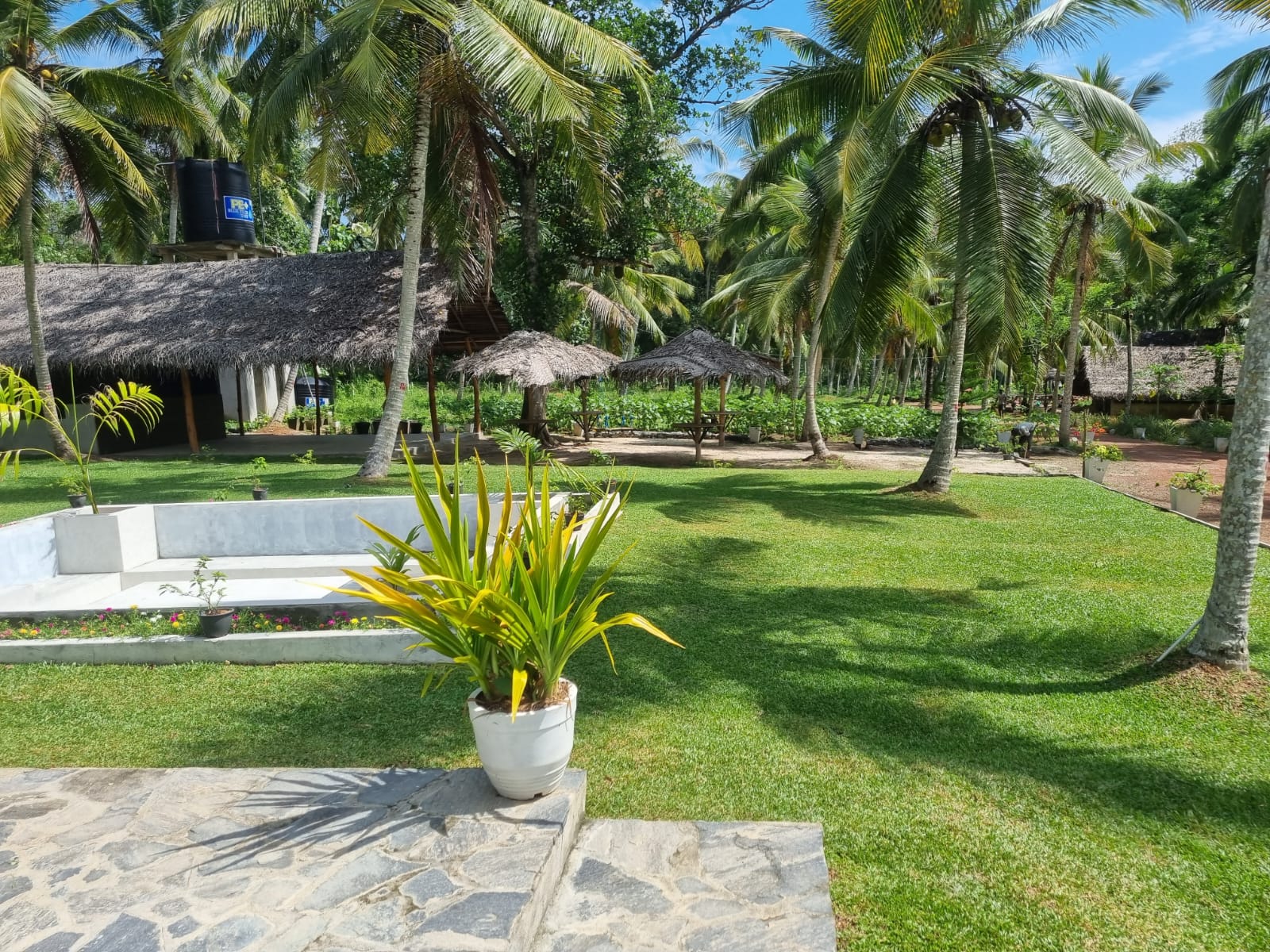 Agro Farm Resort for Sale in Minuwangoda, Sri Lanka.
