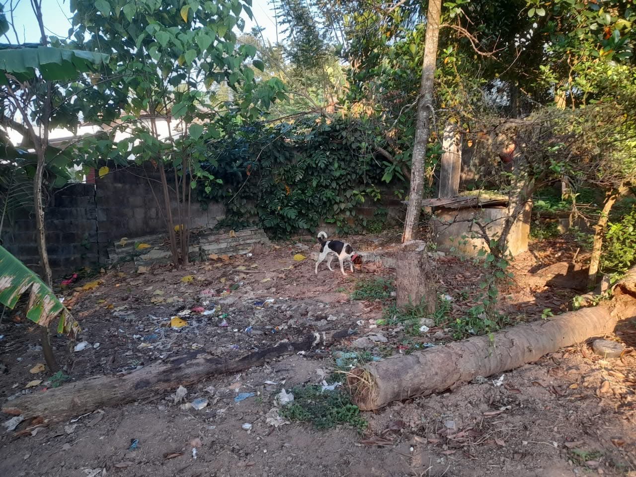 Land for sale in Malabe