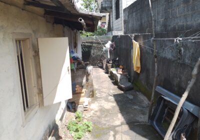 inbound3245850989725572629