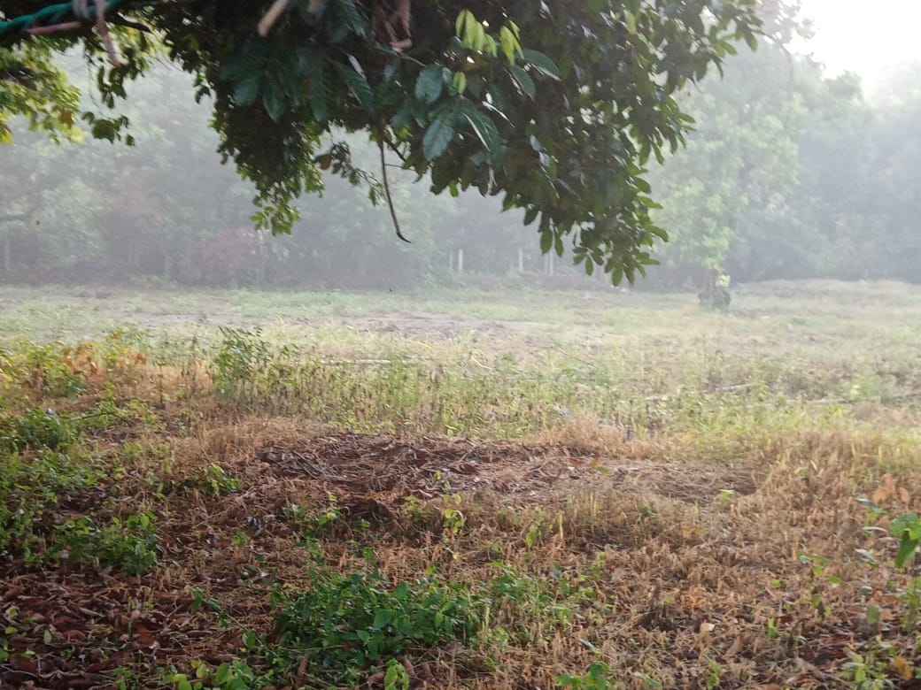 2 Acre Commercial Land for Sale in Kaduwela