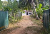 Newly Renovated House for Sale in Marawila