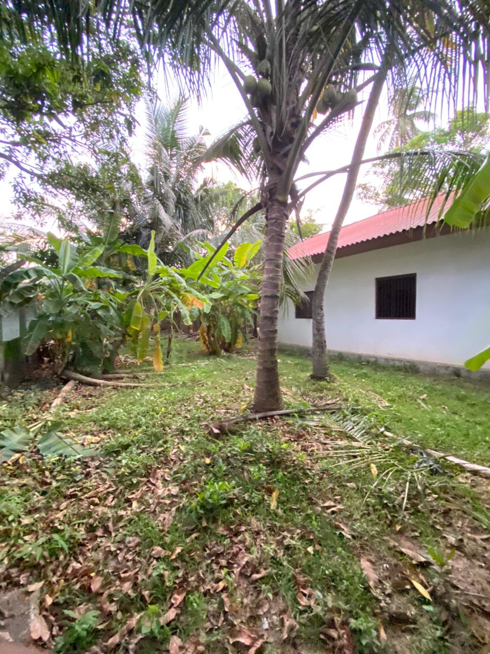 House for Rent in Ja-Ela.  Only for Stores or Office purposes.