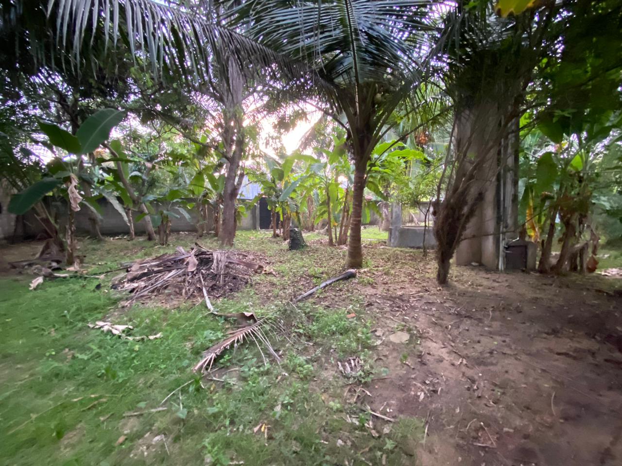 House for Rent in Ja-Ela.  Only for Stores or Office purposes.