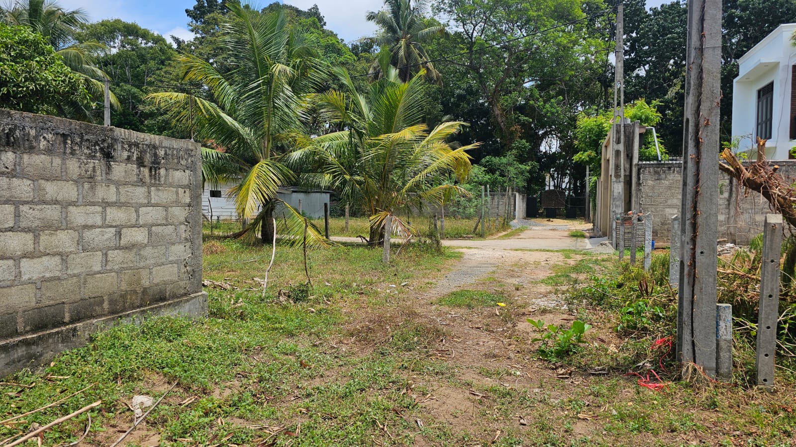 11 Perch Valuable Land for Sale in Seeduwa. 