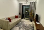 Luxury Apartment for Rent in Trizen Tower 2, Colombo 2