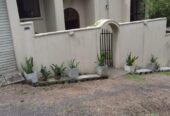 Beautiful Cottage-Style House for Rent in Kaduwela.