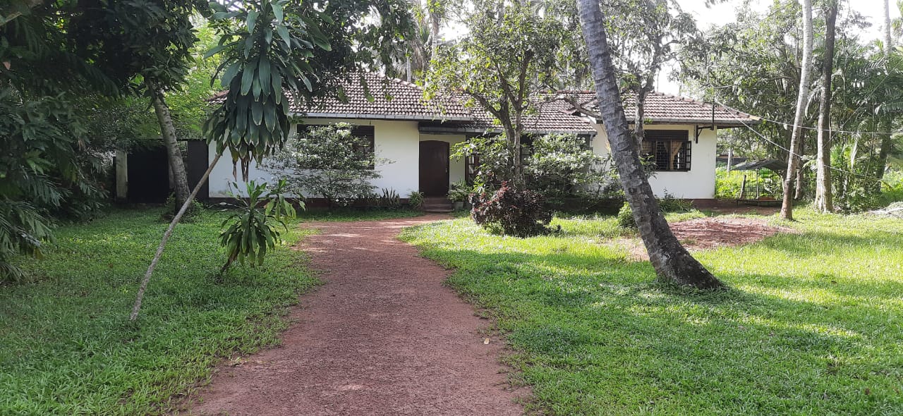 Land for Sale in Kapuwaththa, Jaela. 