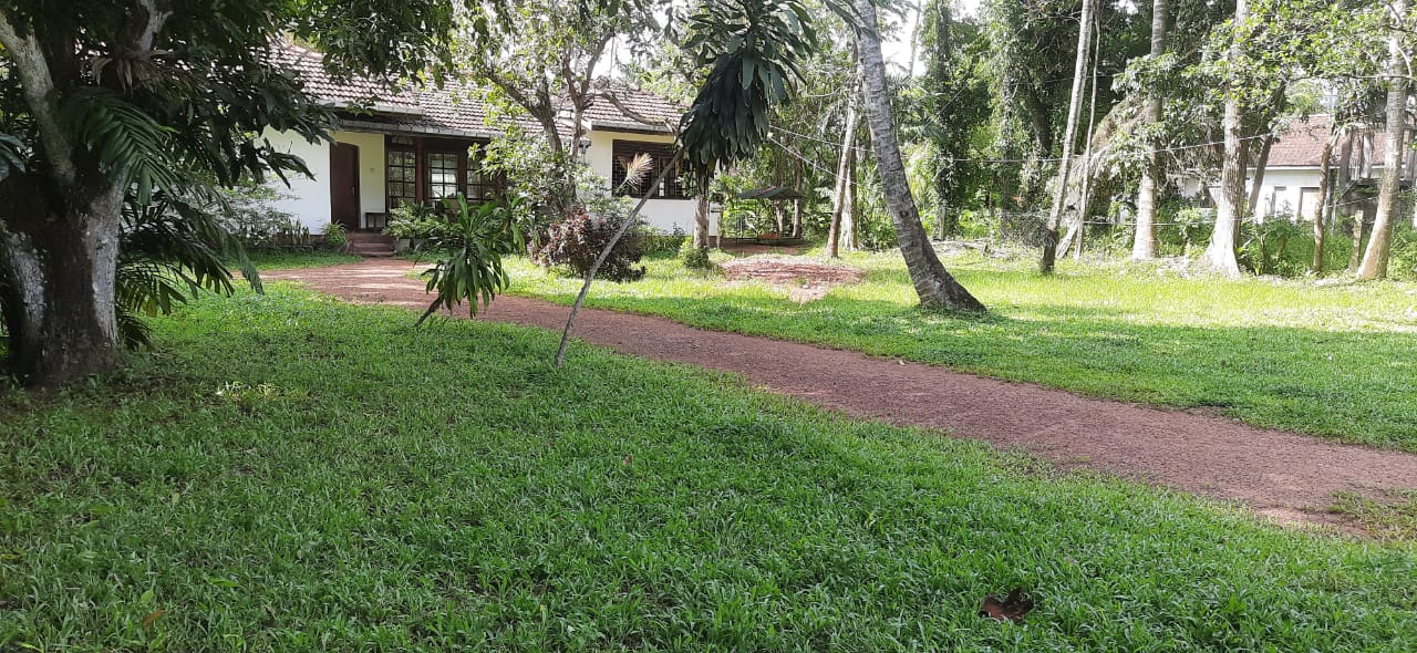 Land for Sale in Kapuwaththa, Jaela. 