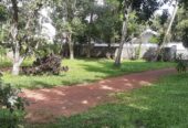 Land for Sale in Kapuwaththa, Jaela. 