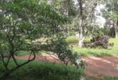 Land for Sale in Kapuwaththa, Jaela. 