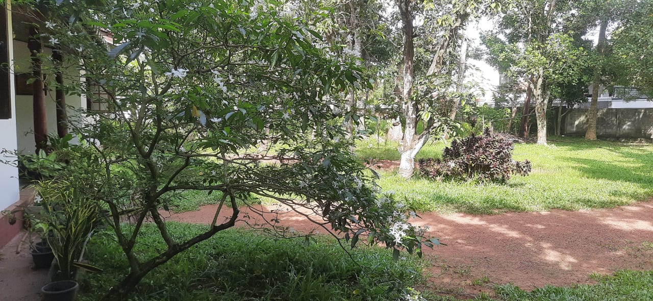 Land for Sale in Kapuwaththa, Jaela. 