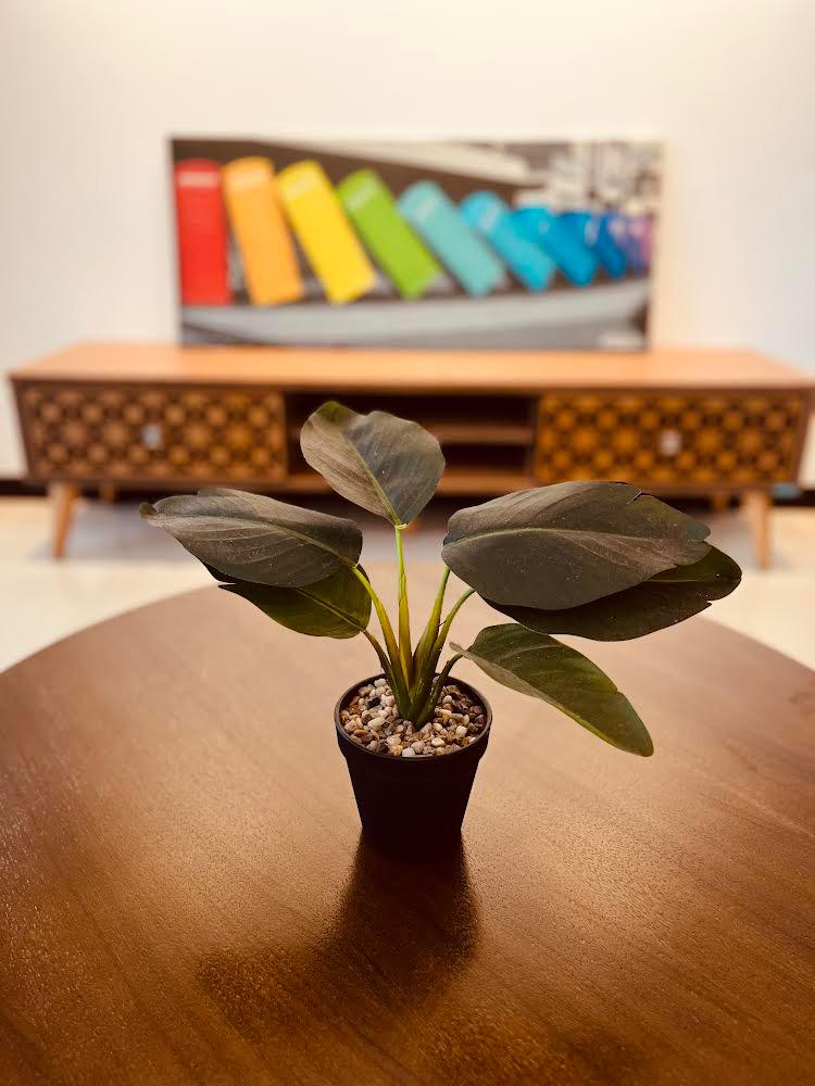 Fully Furnished Luxury Apartment for Rent in Tri-Zen, Tower 3, Colombo 2.